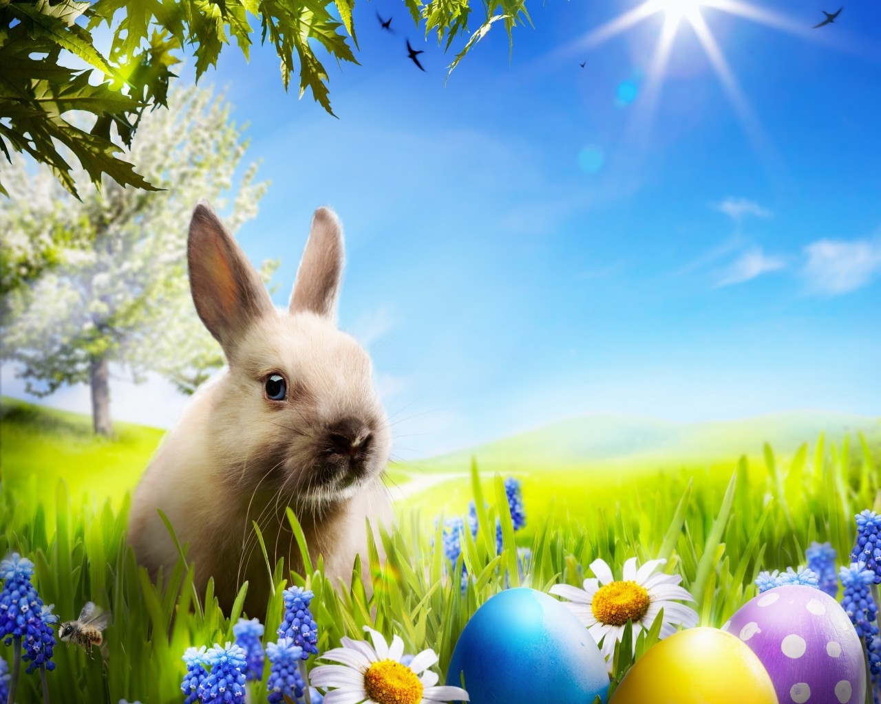 Little Rabbit for 1280 x 1024 resolution