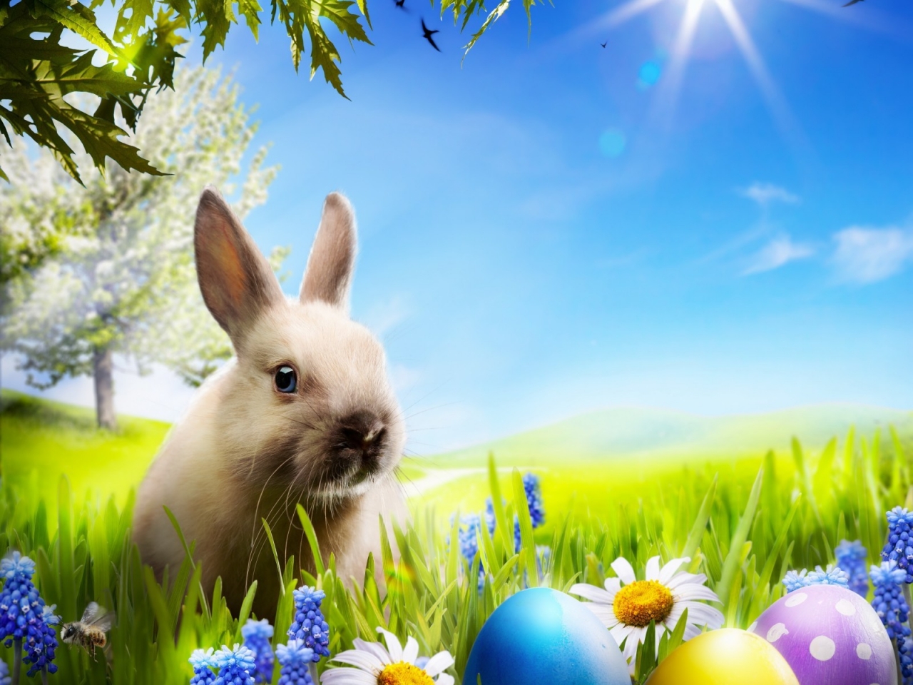 Little Rabbit for 1280 x 960 resolution