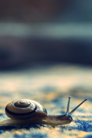 Little Snail for 320 x 480 iPhone resolution