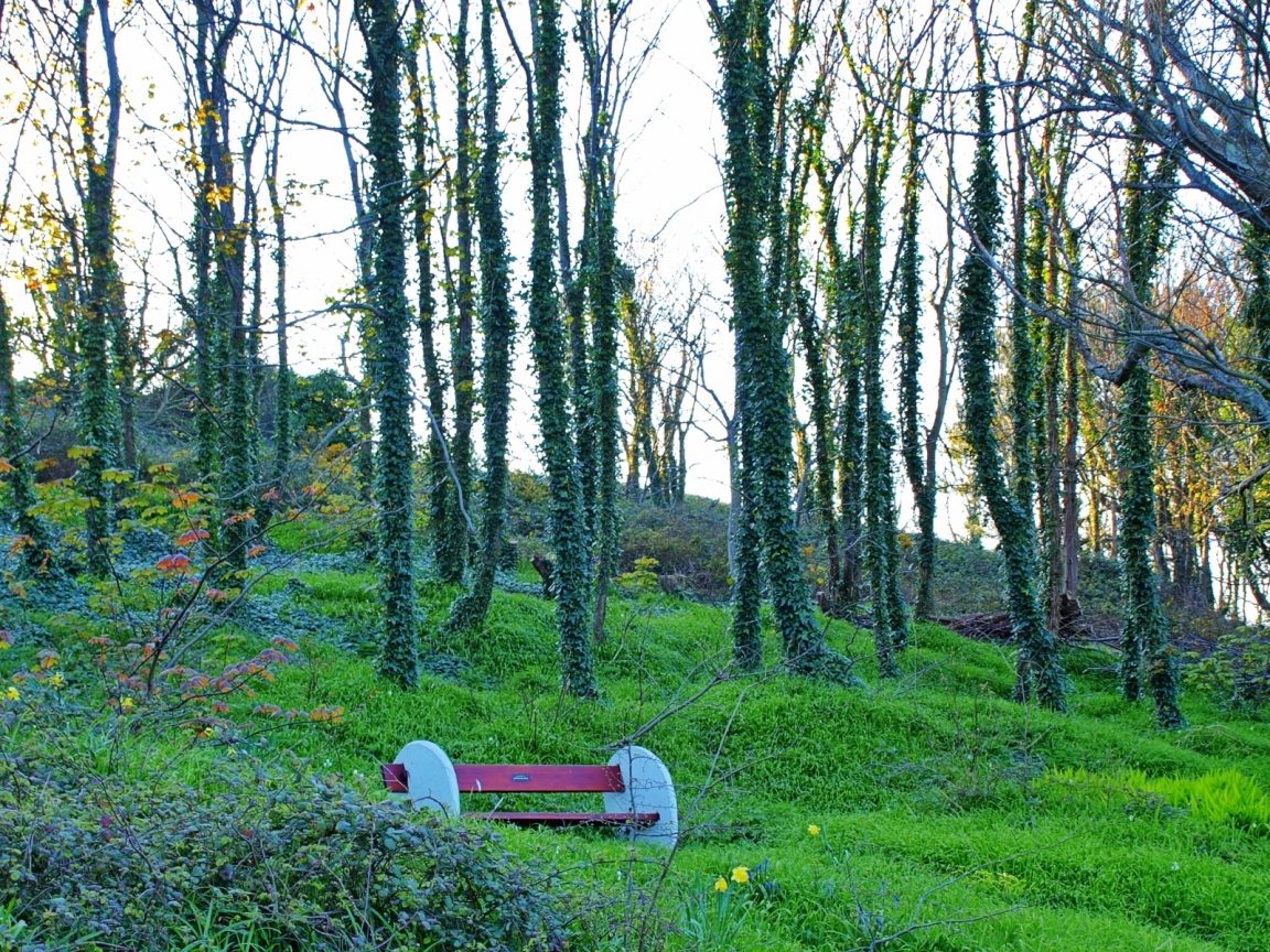 Lonely Bench for 1152 x 864 resolution