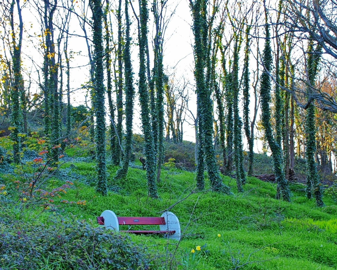 Lonely Bench for 1280 x 1024 resolution