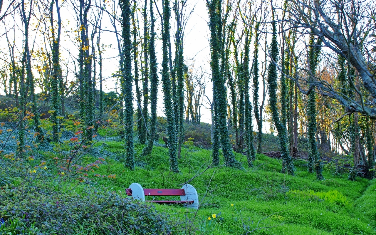 Lonely Bench for 1280 x 800 widescreen resolution
