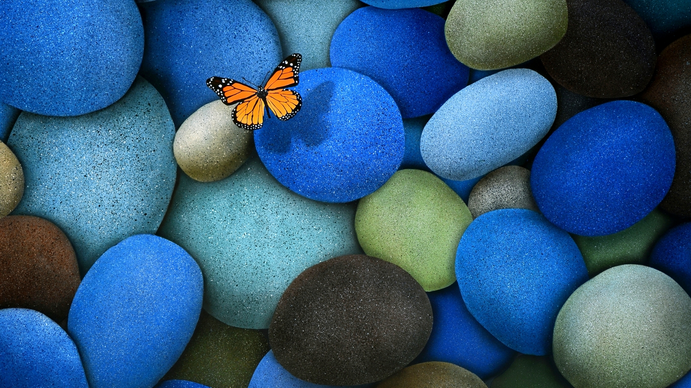 Lonely Butterfly for 1366 x 768 HDTV resolution
