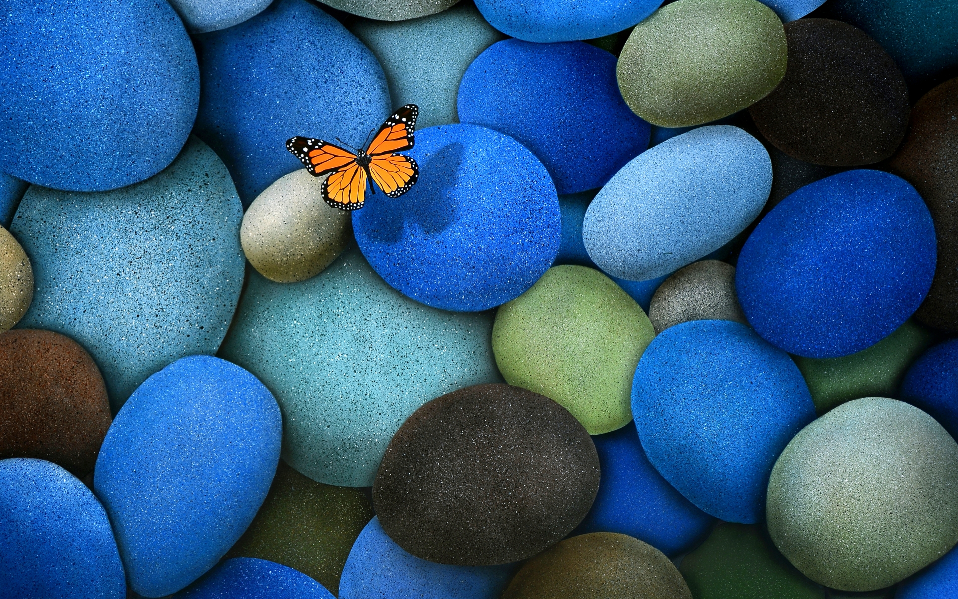 Lonely Butterfly for 1920 x 1200 widescreen resolution