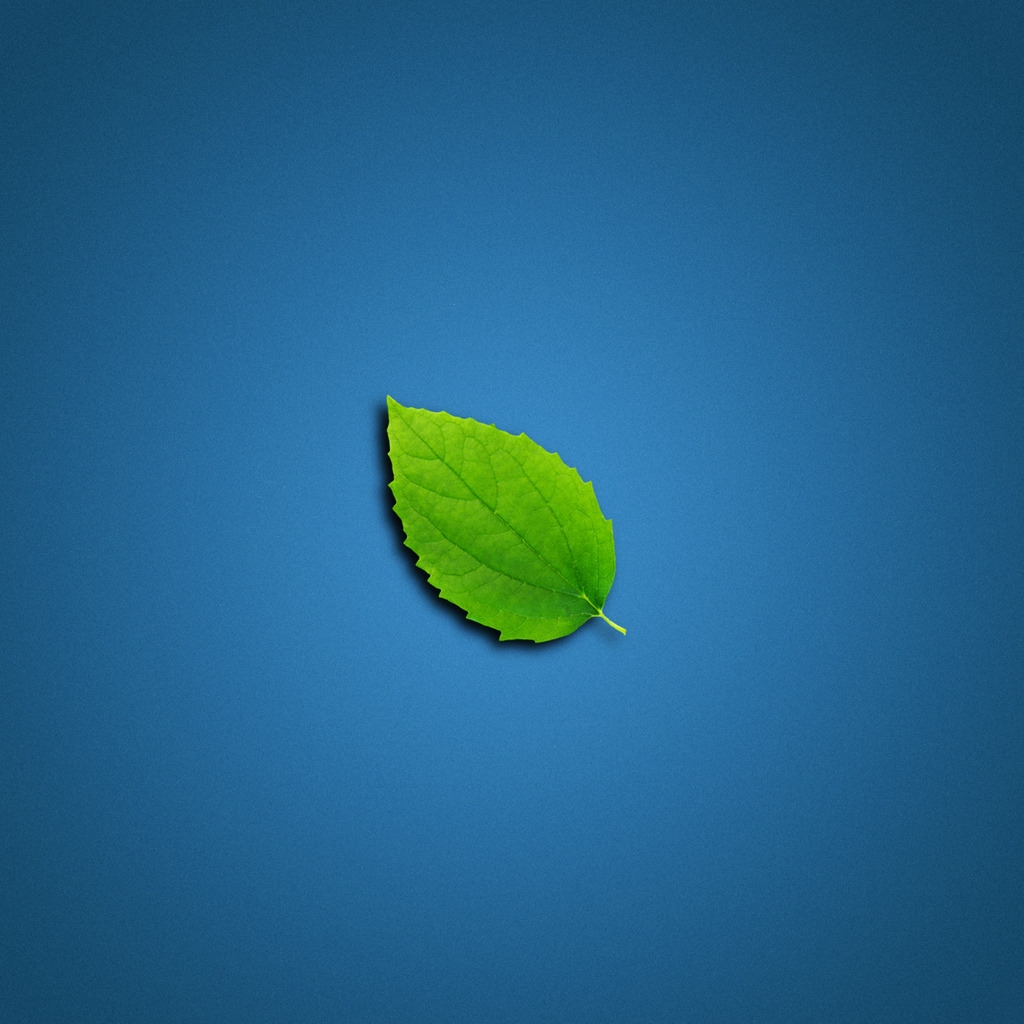 Lonely Leaf for 1024 x 1024 iPad resolution