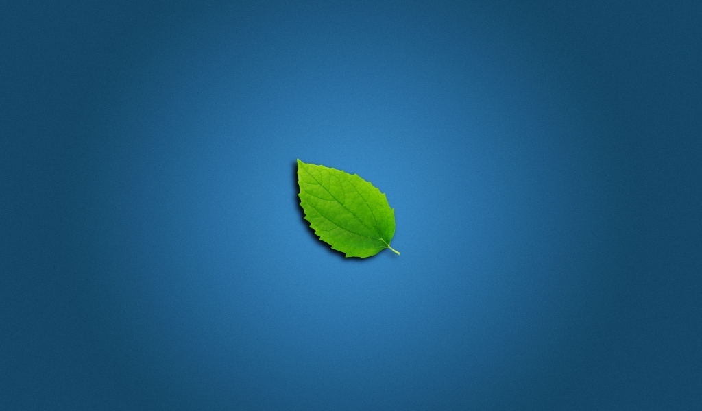 Lonely Leaf for 1024 x 600 widescreen resolution