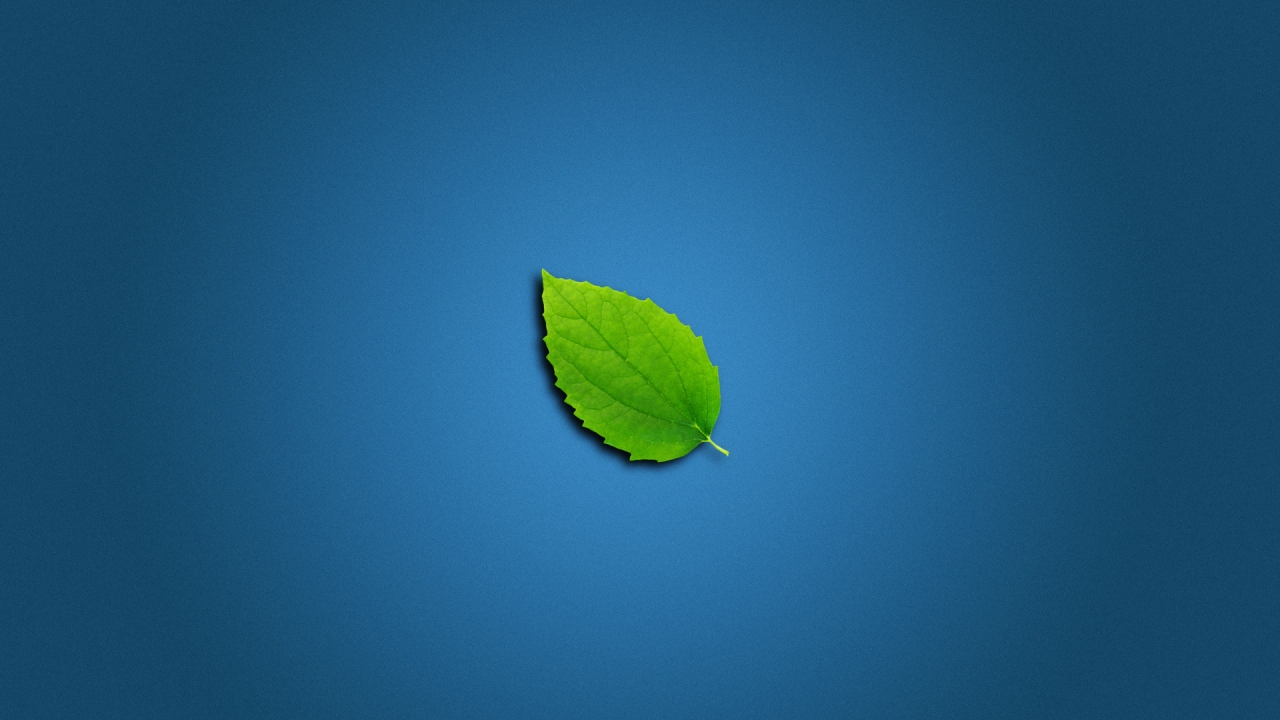 Lonely Leaf for 1280 x 720 HDTV 720p resolution