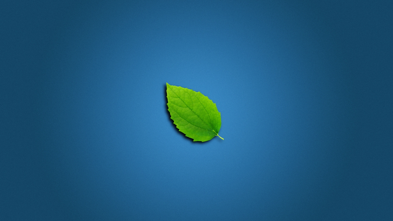 Lonely Leaf for 1366 x 768 HDTV resolution