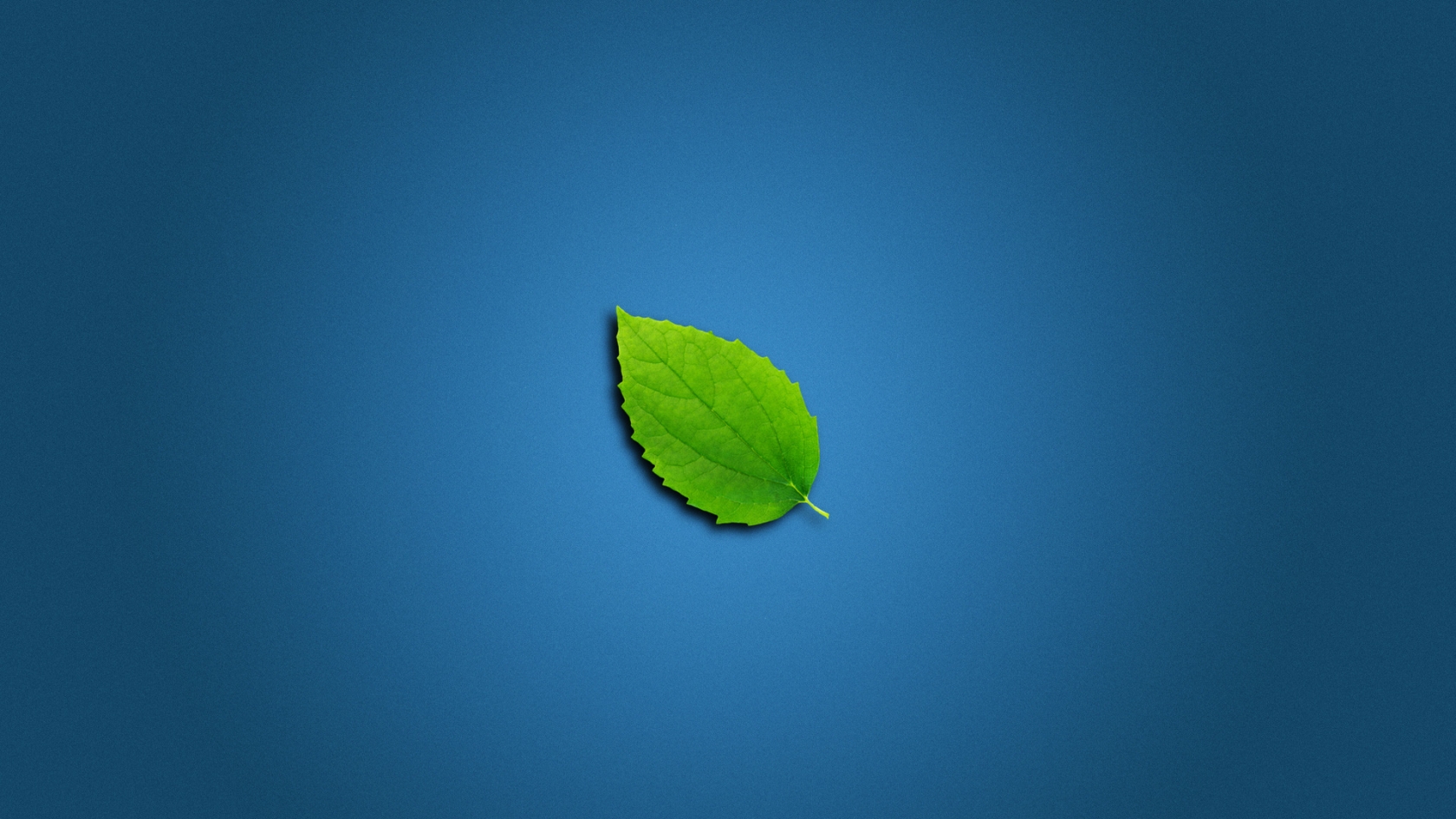 Lonely Leaf for 1680 x 945 HDTV resolution