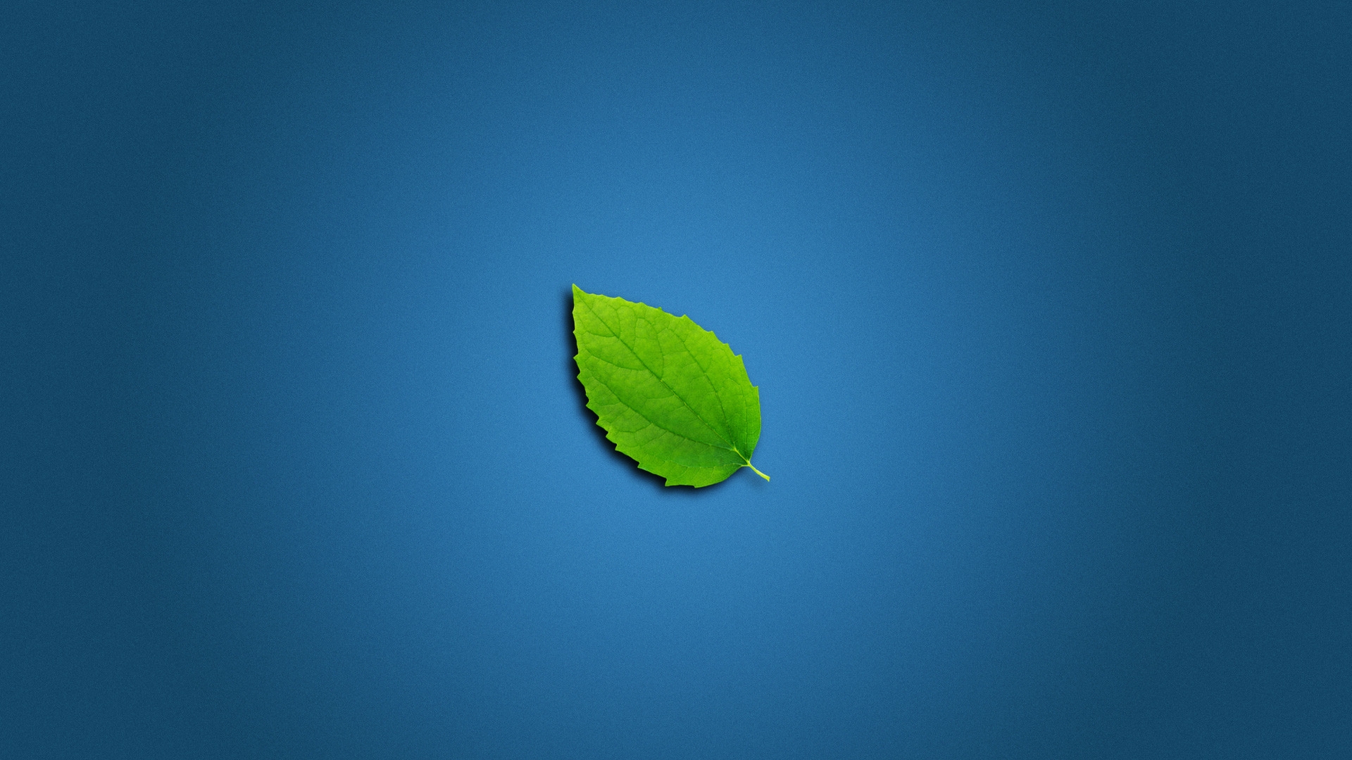 Lonely Leaf for 1920 x 1080 HDTV 1080p resolution
