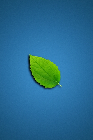 Lonely Leaf for 320 x 480 iPhone resolution
