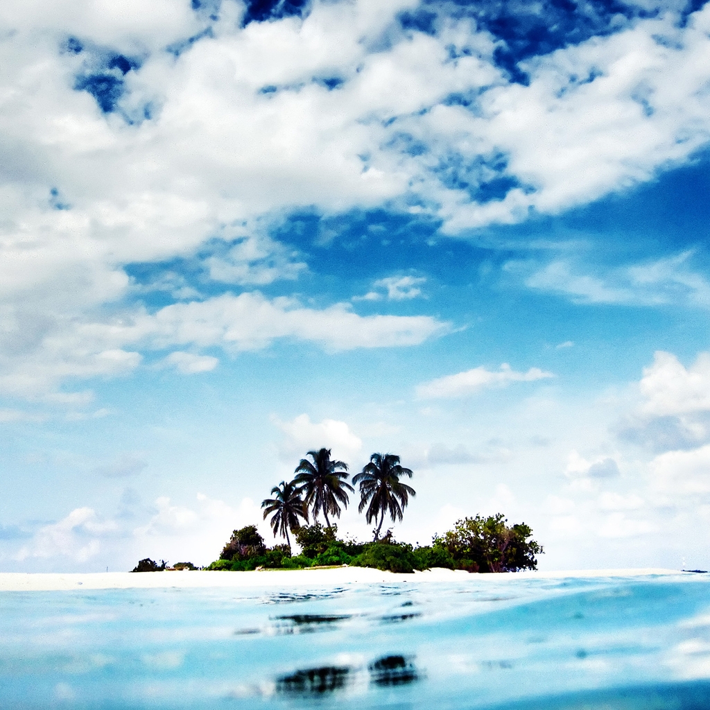 Lost Palm Island for 1024 x 1024 iPad resolution