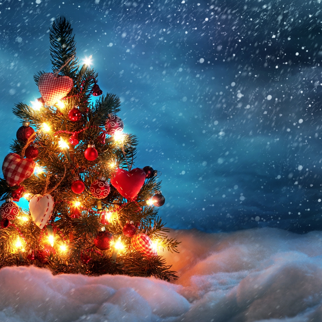 Lovely Christmas Tree for 1024 x 1024 iPad resolution
