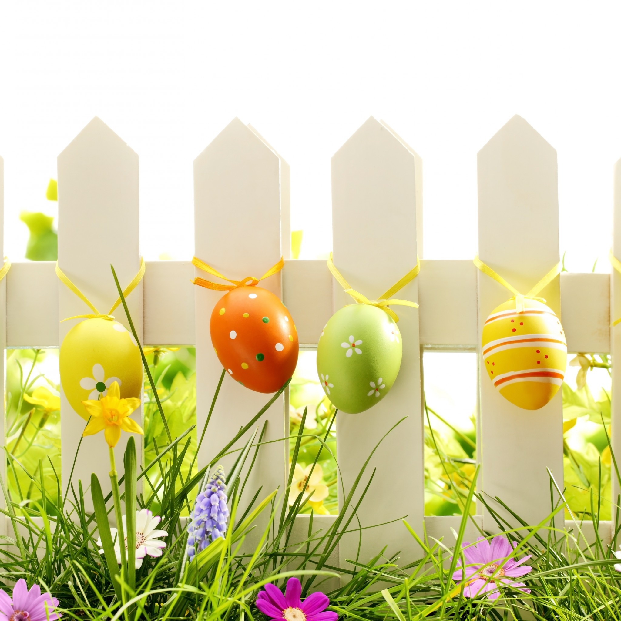 Lovely Easter Eggs Decoration for 2048 x 2048 New iPad resolution