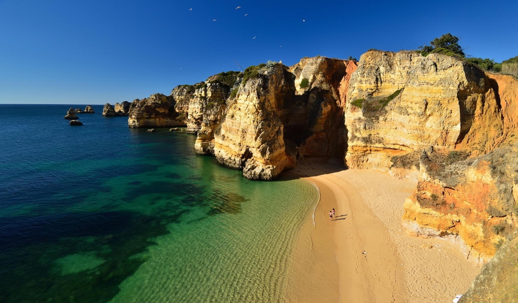 Lovely Green Water Beach for 1024 x 600 widescreen resolution