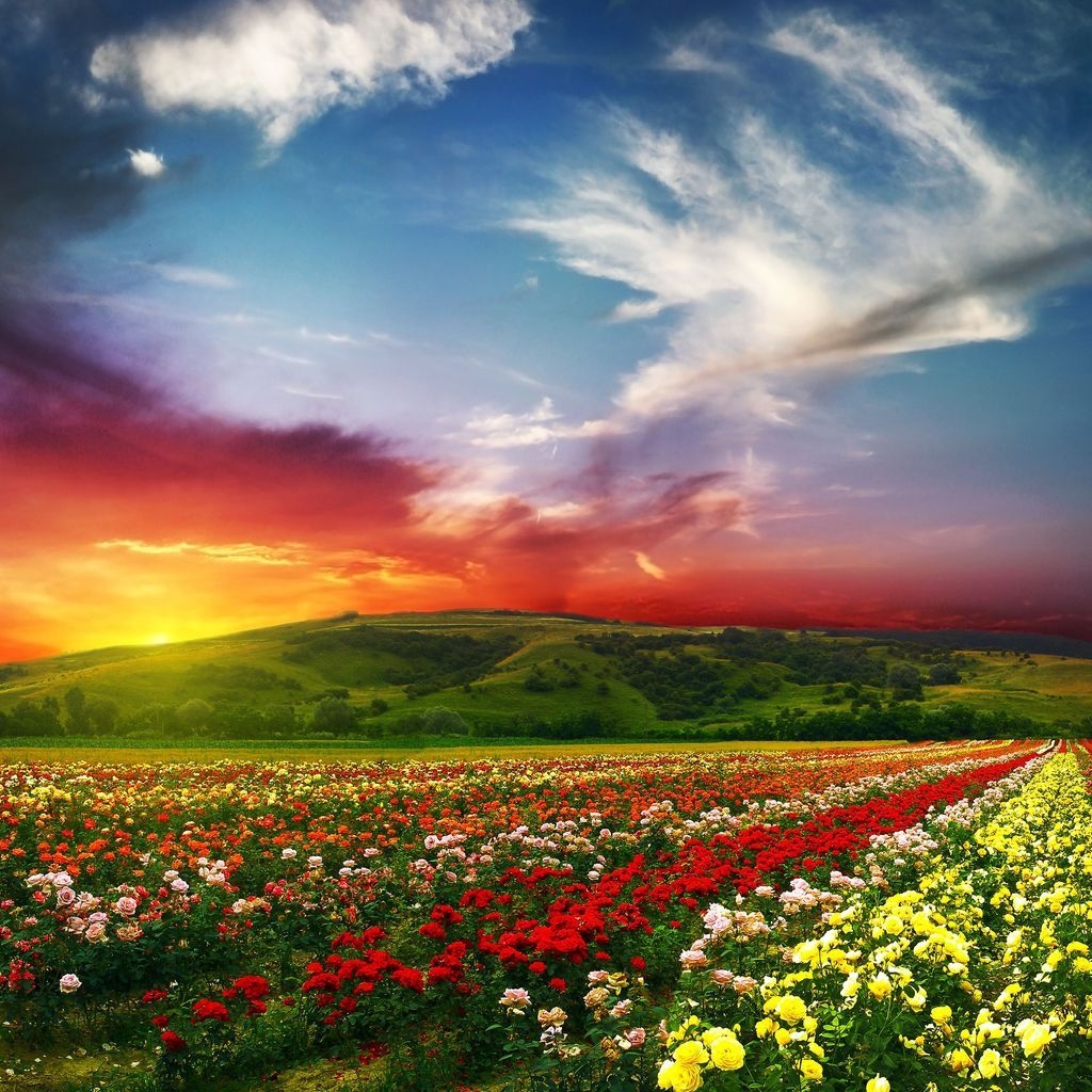 Lovely Nature Landscape for 1024 x 1024 iPad resolution