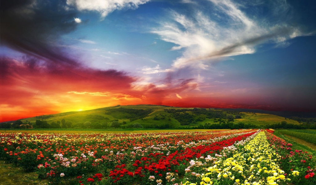 Lovely Nature Landscape for 1024 x 600 widescreen resolution