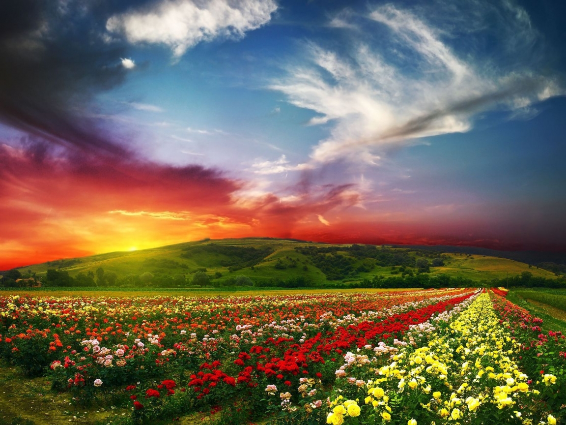 Lovely Nature Landscape for 1152 x 864 resolution