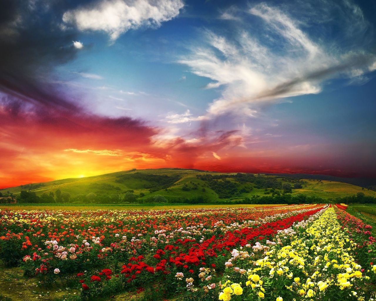 Lovely Nature Landscape for 1280 x 1024 resolution