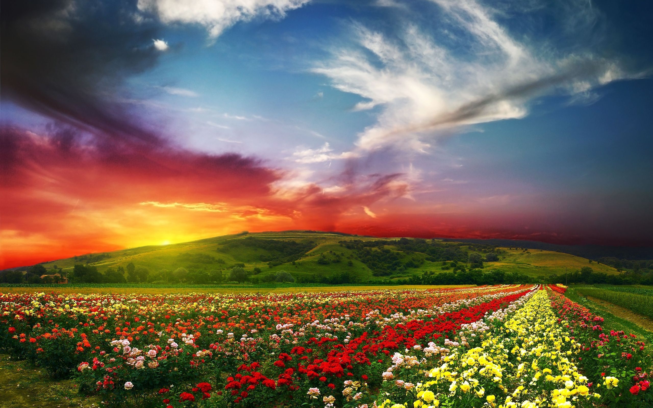 Lovely Nature Landscape for 2560 x 1600 widescreen resolution