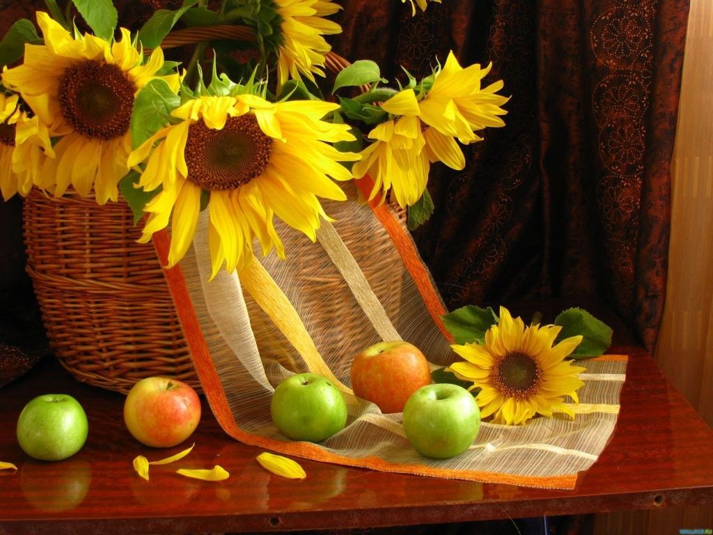 Lovely Sun Flowers for 1024 x 768 resolution