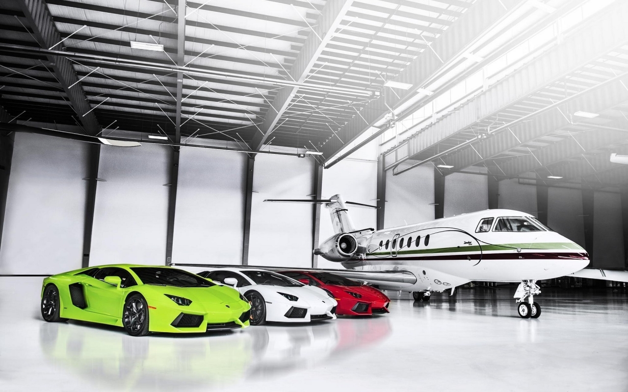 Luxury Private Garage for 1280 x 800 widescreen resolution