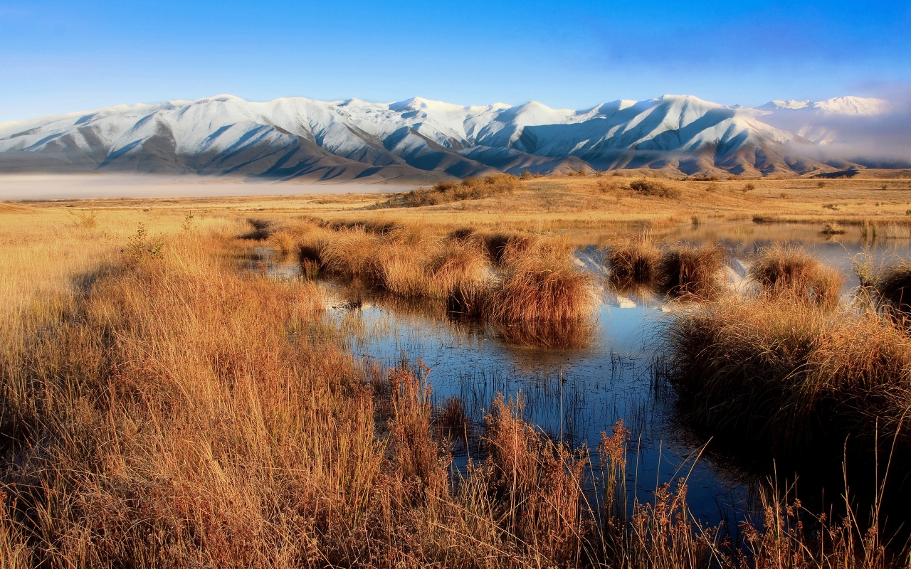 Mackenzie Country for 1280 x 800 widescreen resolution