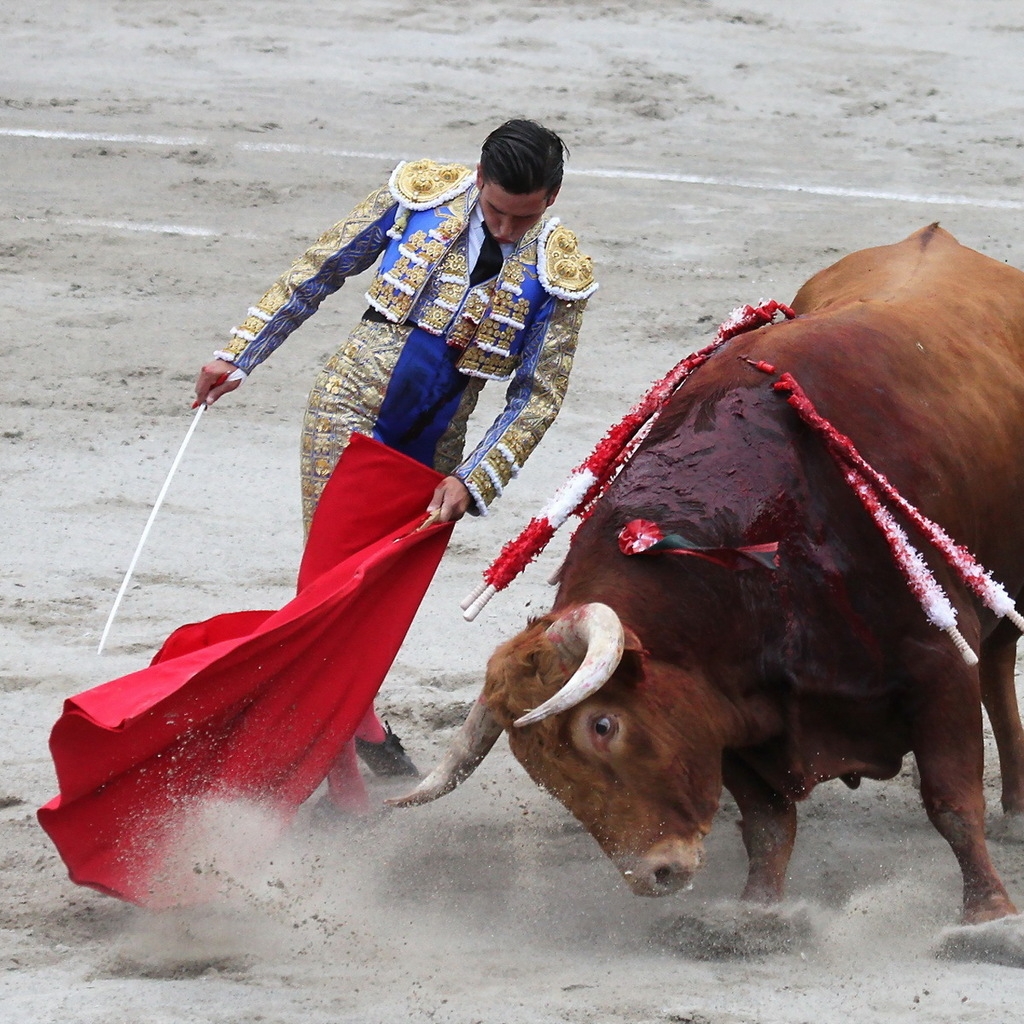 Matador Bullfight for 1024 x 1024 iPad resolution