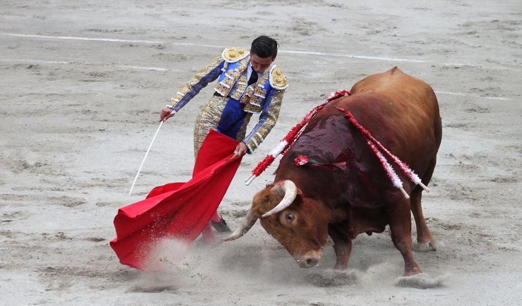 Matador Bullfight for 1024 x 600 widescreen resolution