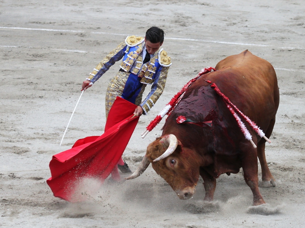 Matador Bullfight for 1024 x 768 resolution