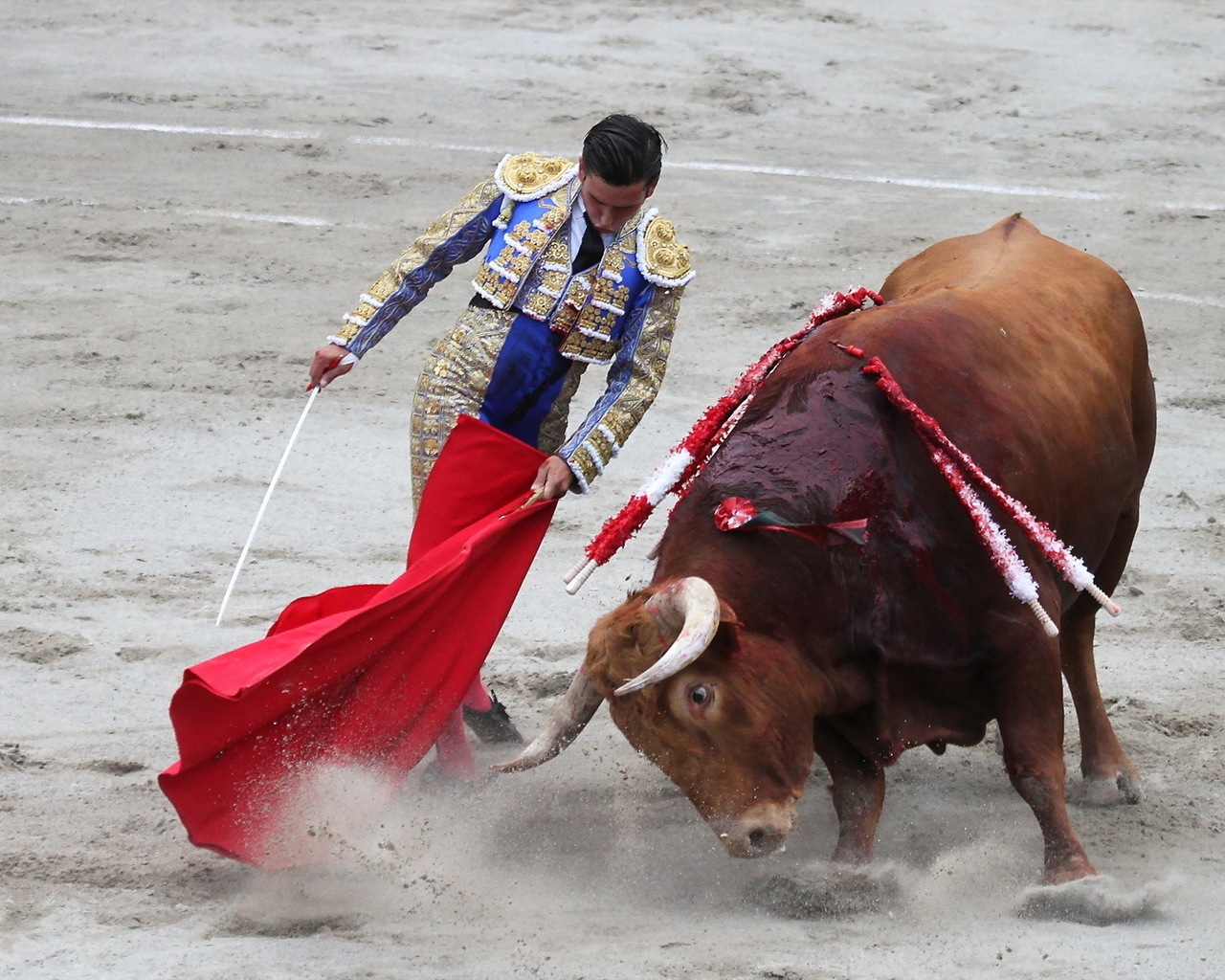 Matador Bullfight for 1280 x 1024 resolution