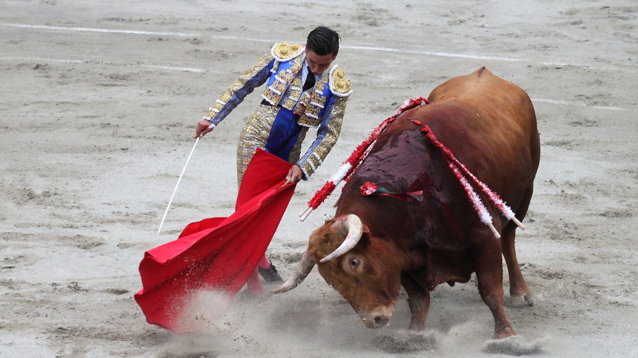 Matador Bullfight for 1280 x 720 HDTV 720p resolution
