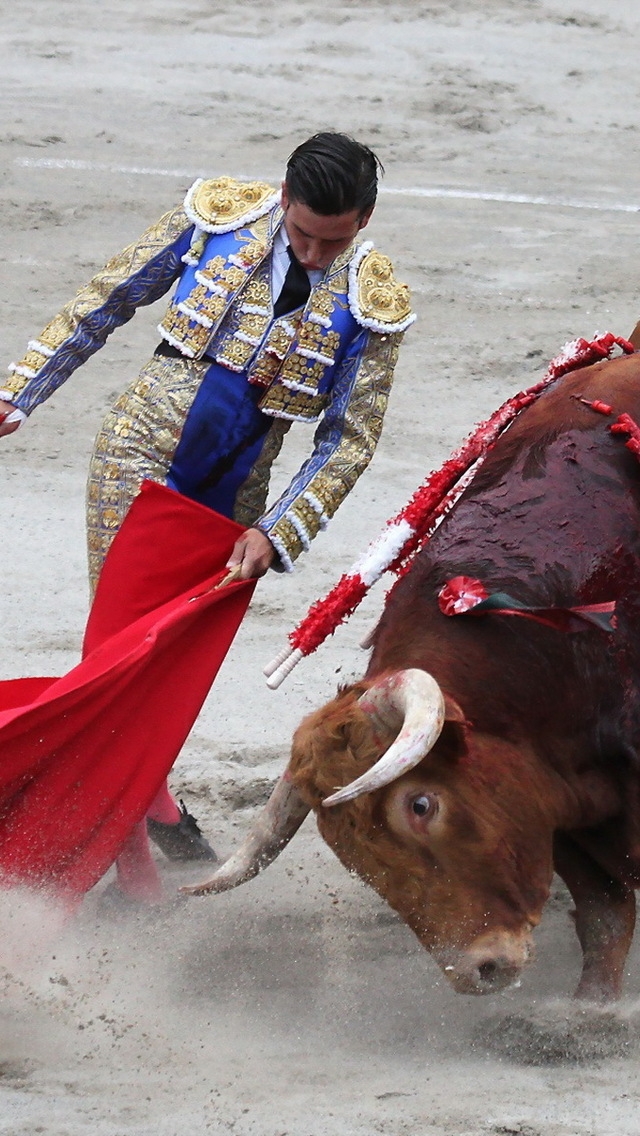 Matador Bullfight for 640 x 1136 iPhone 5 resolution