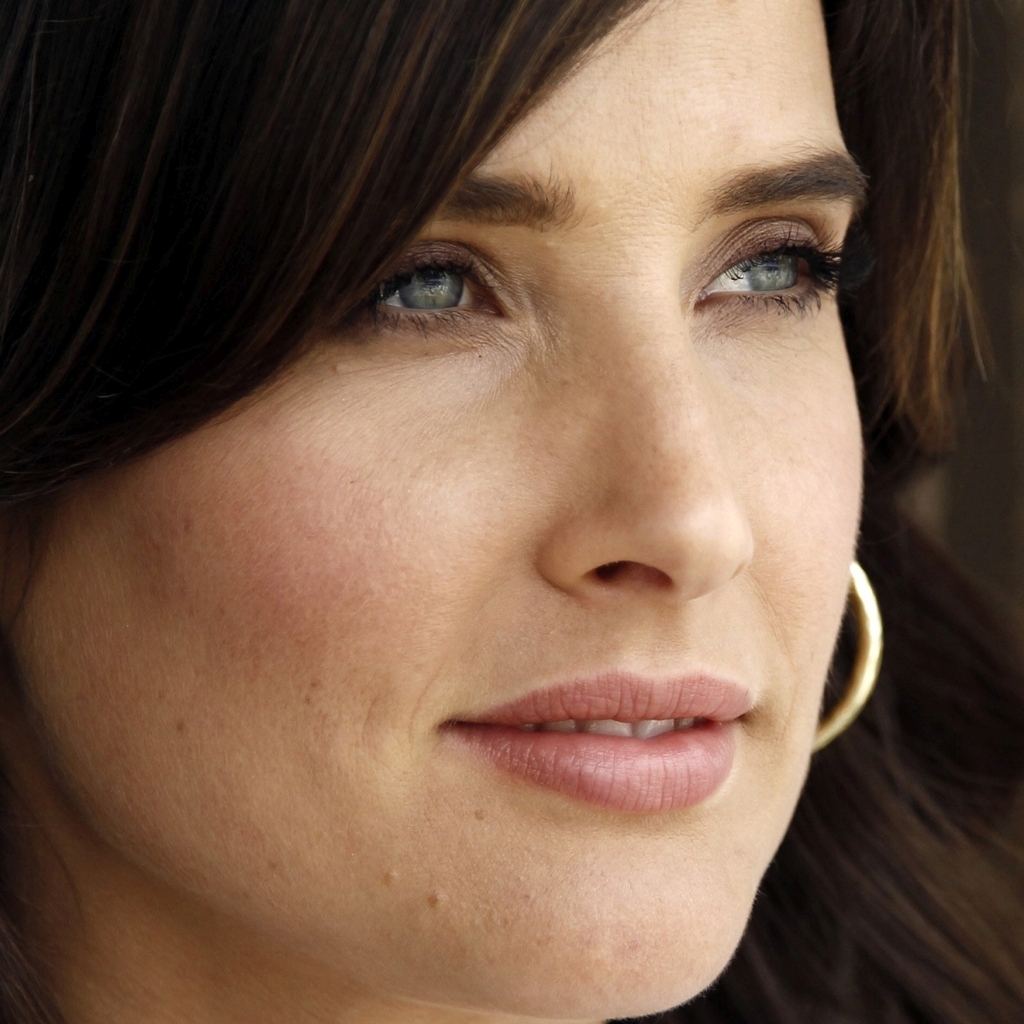 Mature Cobie Smulders for 1024 x 1024 iPad resolution