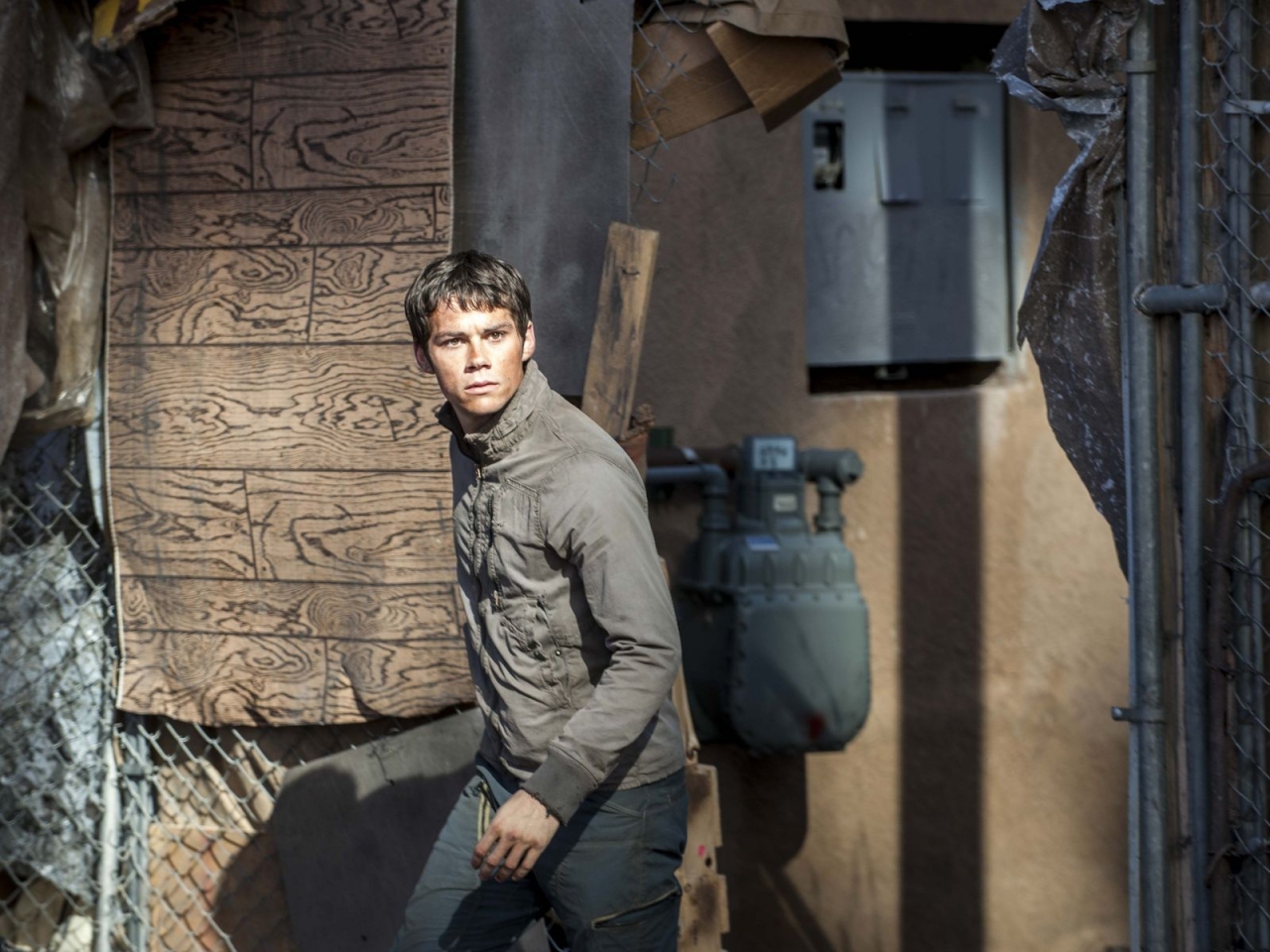 Maze Runner The Scorch Trials: Thomas for 1280 x 960 resolution