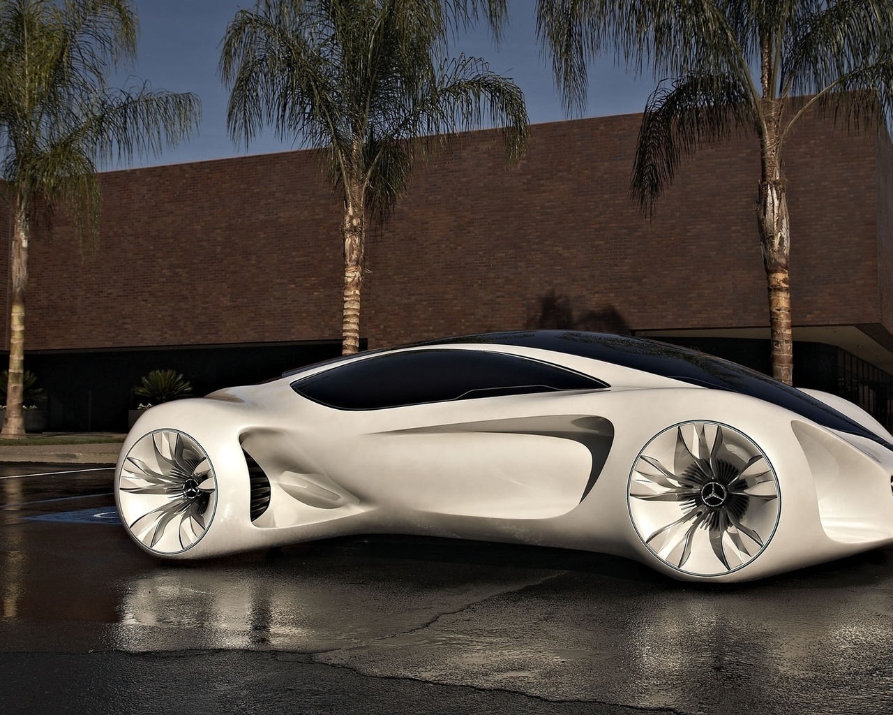 Mercedes Benz BIOME Concept Car  for 1280 x 1024 resolution