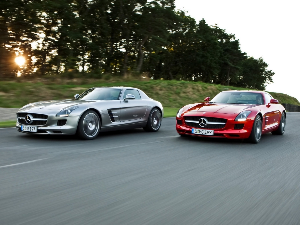 Mercedes-Benz SLS AMG Duo 2010 for 1024 x 768 resolution