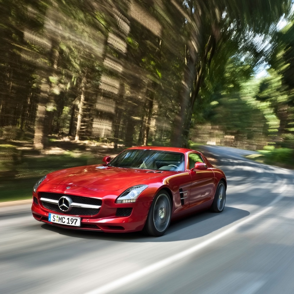 Mercedes-Benz SLS AMG Speed 2010 for 1024 x 1024 iPad resolution