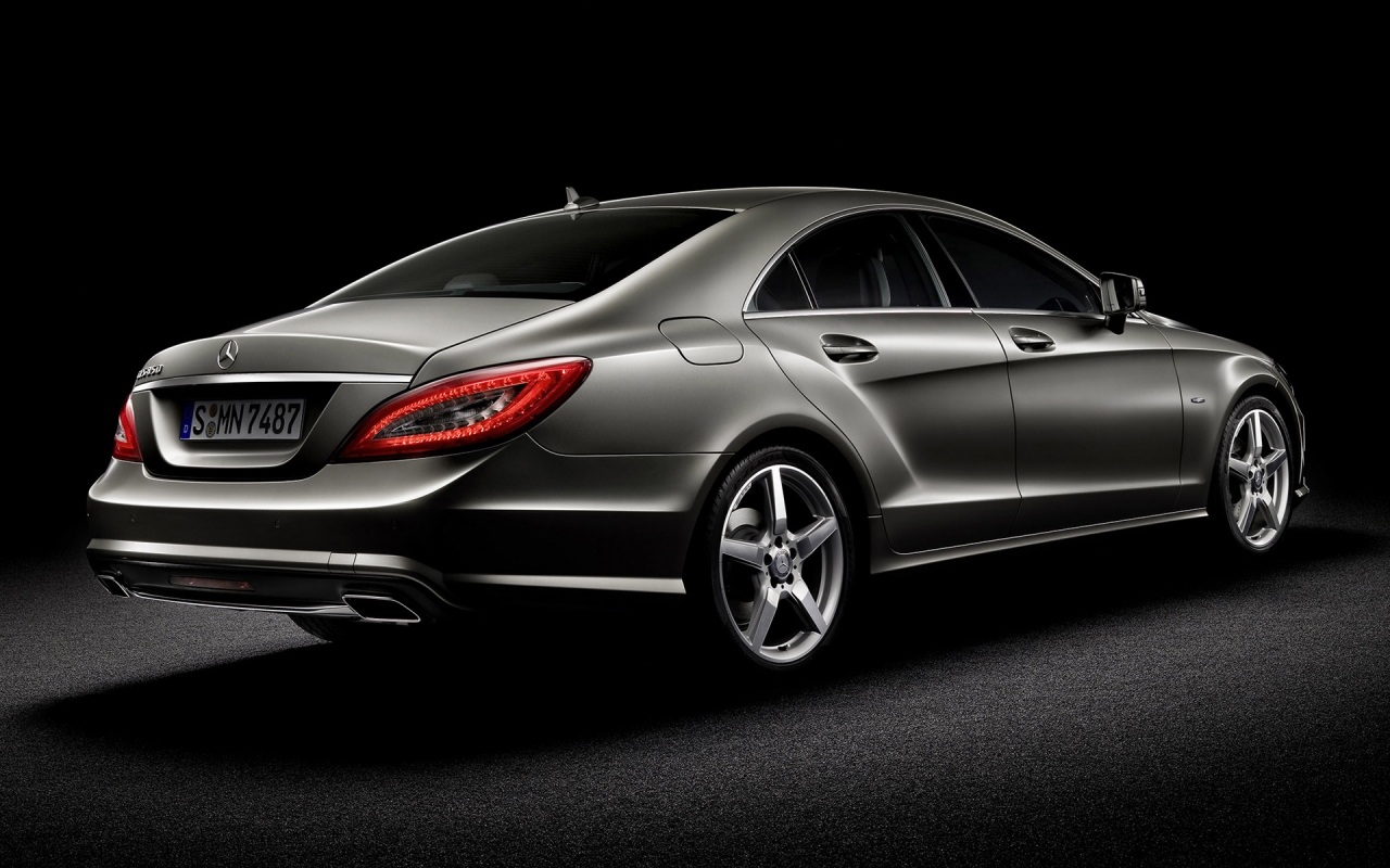 Mercedes CLS 2010 Rear for 1280 x 800 widescreen resolution