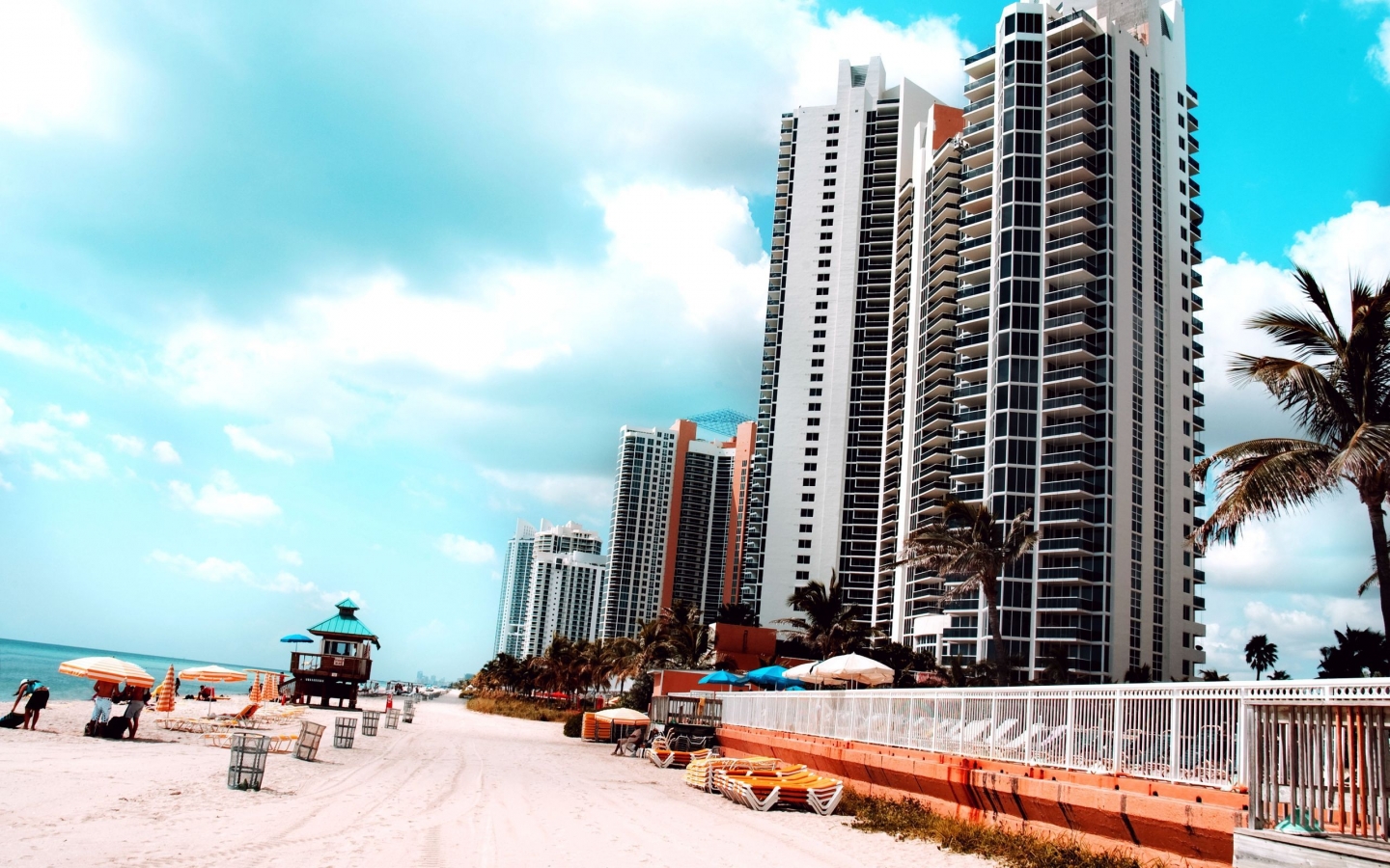Miami for 1440 x 900 widescreen resolution