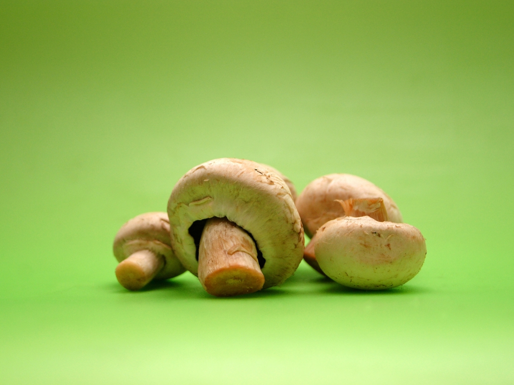 Minimal Mushrooms for 1024 x 768 resolution