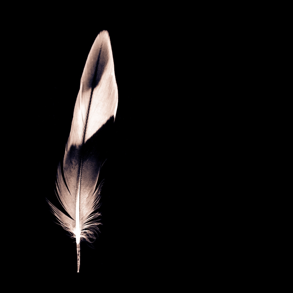 Minimalist Feather for 1024 x 1024 iPad resolution