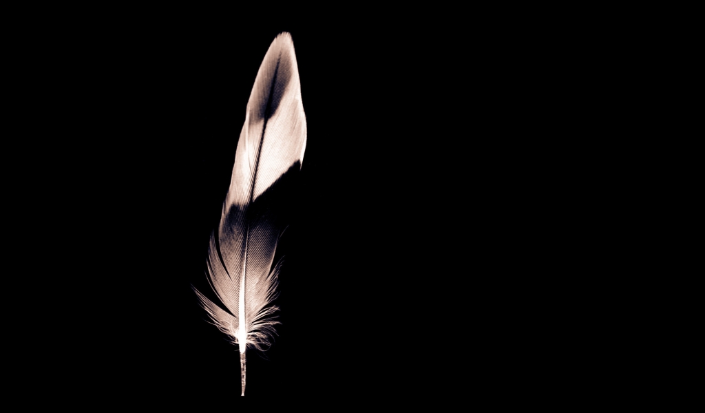 Minimalist Feather for 1024 x 600 widescreen resolution