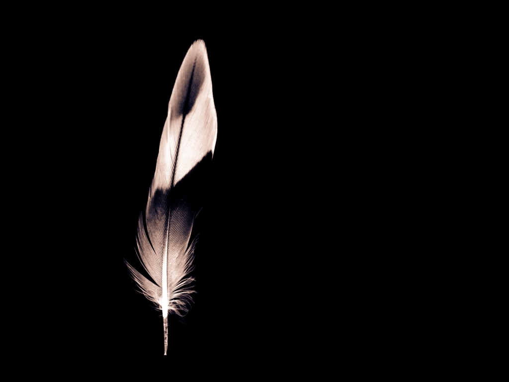 Minimalist Feather for 1024 x 768 resolution
