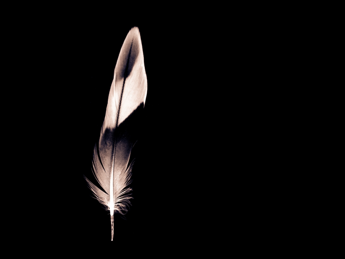 Minimalist Feather for 1152 x 864 resolution