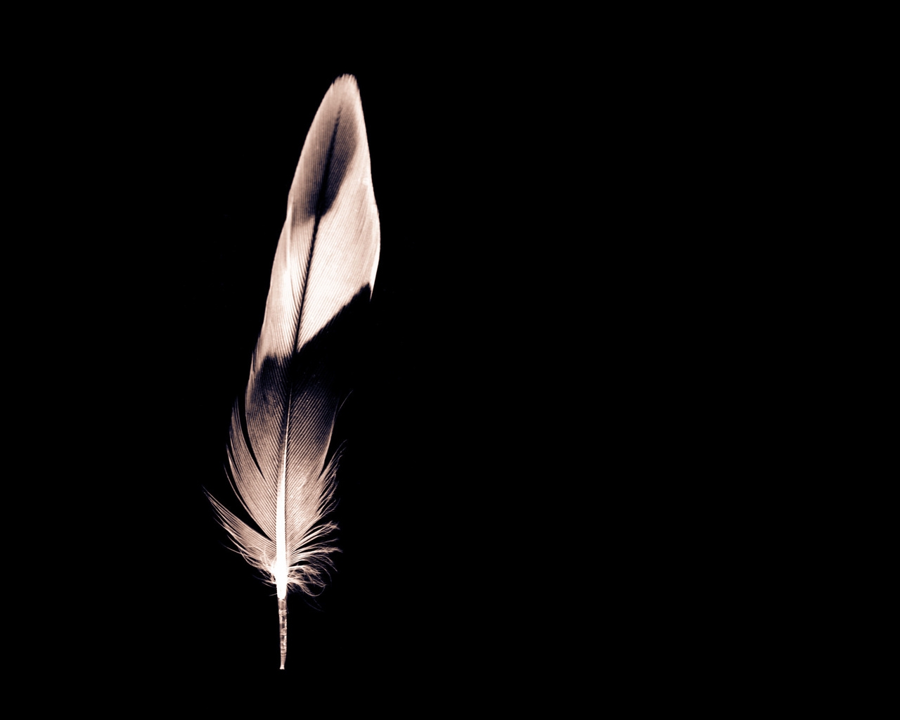 Minimalist Feather for 1280 x 1024 resolution
