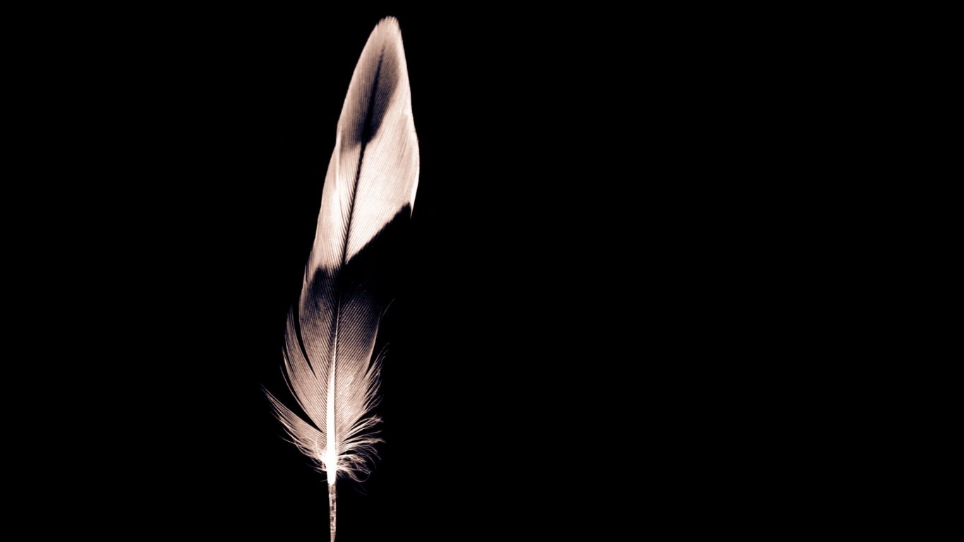 Minimalist Feather for 1366 x 768 HDTV resolution
