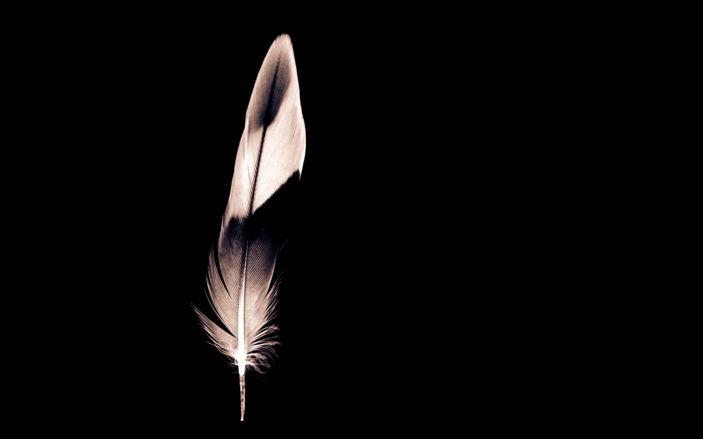 Minimalist Feather for 1440 x 900 widescreen resolution