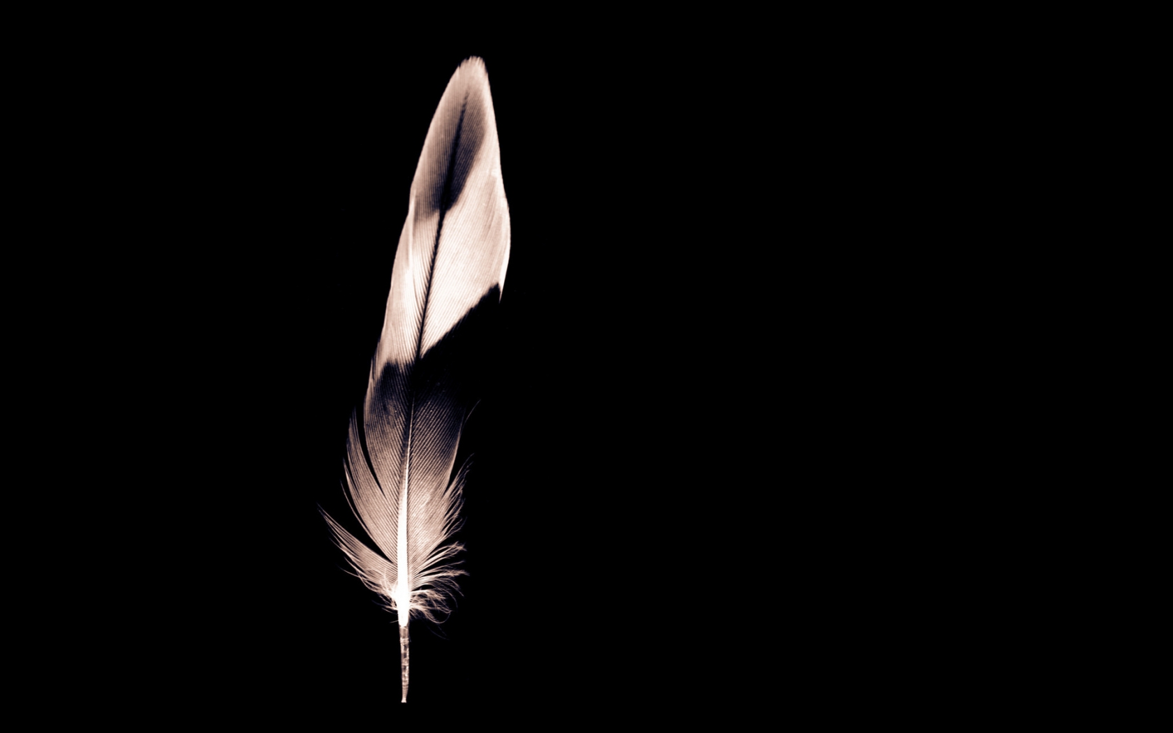 Minimalist Feather for 1680 x 1050 widescreen resolution