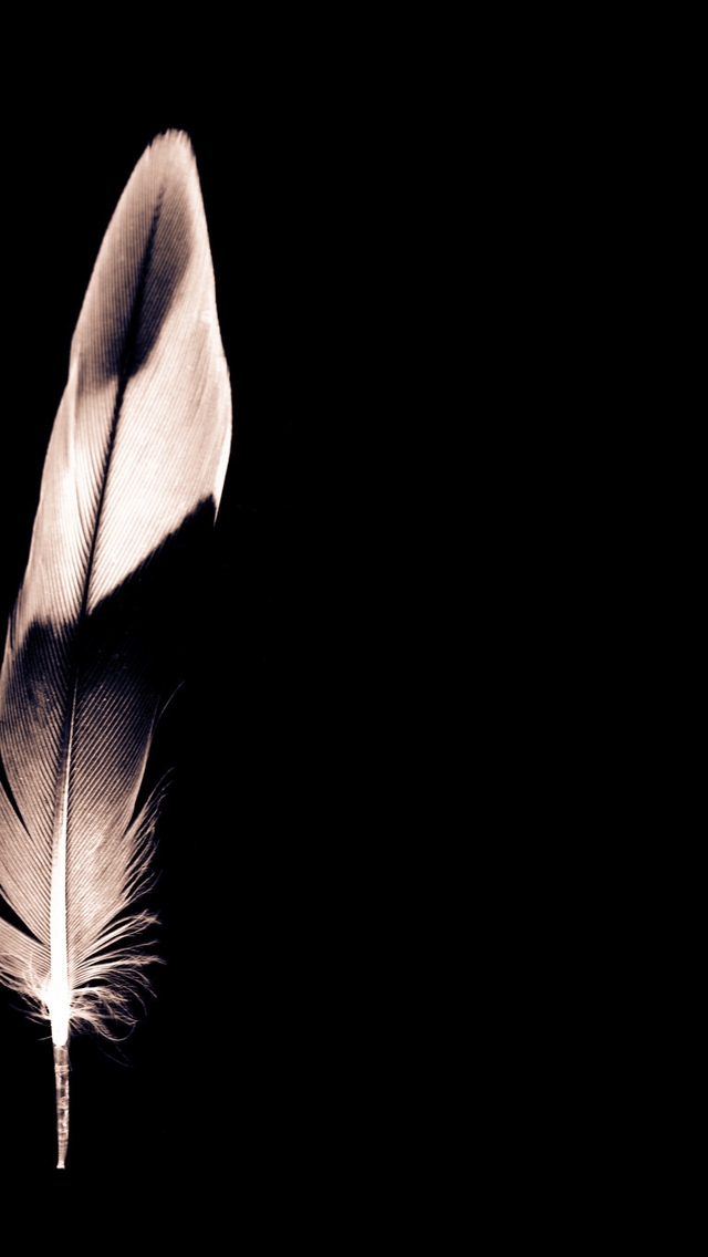 Minimalist Feather for 640 x 1136 iPhone 5 resolution